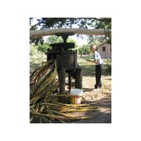 25_Linda_ sugar_cane.jpg